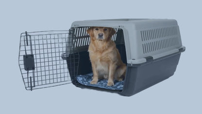Die Flugmatte der Zukunft - SkyPaws TravelMat